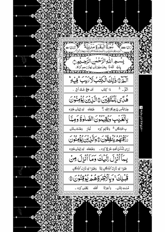 Para_1-30 sheikh - Image 3